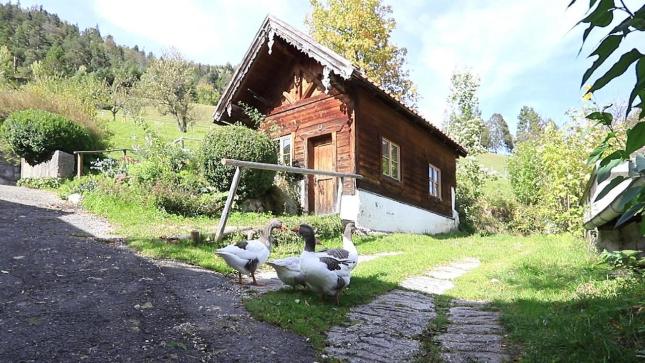 Haus Holler Apartamento Wallgau Exterior foto